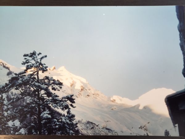s44581261.jpg